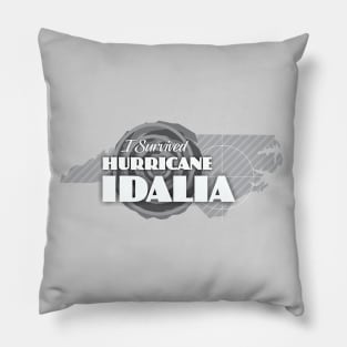 I Survived Hurricane Idalia Pillow