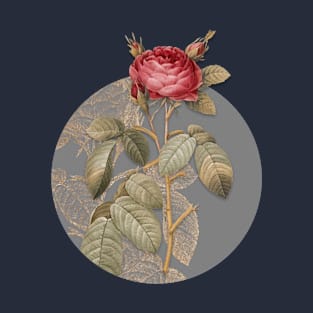 Vintage Red Gallic Rose Botanical Illustration on Circle T-Shirt