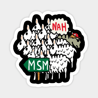 Anti MSM Magnet