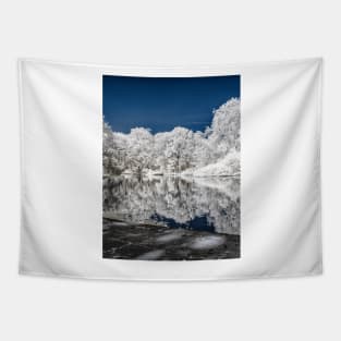 Lake Reflections - Infrared Tapestry