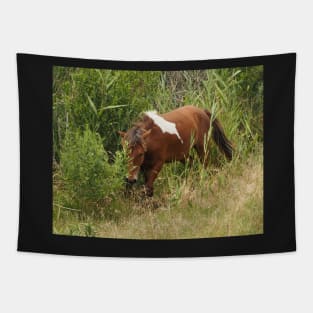 Assateague Pony in the Brush Tapestry