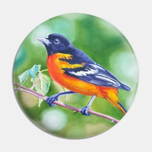 Baltimore Oriole - bird painting Pin