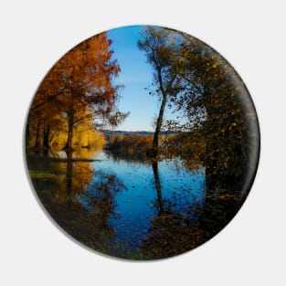 Photography color lake and sky, autumn fallen leaves Pin