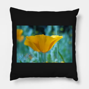 Eschscholzia Californica - California Poppy Pillow