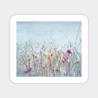 Poppy Field Magnet