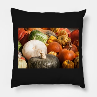 Bountiful Harvest Pillow
