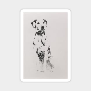 Dalmatian dog watercolor Magnet