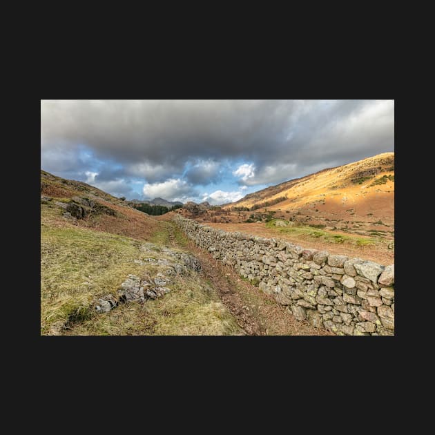 Blea Moss and The Langdales by Reg-K-Atkinson