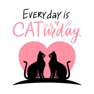 Everyday is a catursday T-Shirt