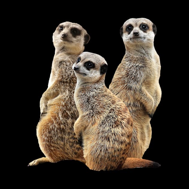 Funny Meerkat - Mongoose in Africa by T-SHIRTS UND MEHR