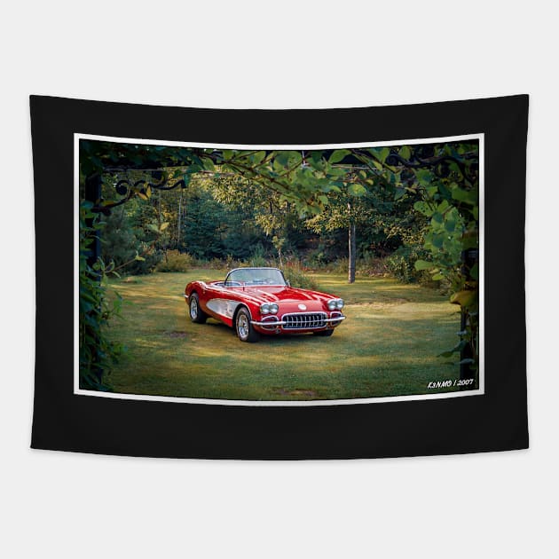 Vintage 1960 American Iconic Sports Car Tapestry by kenmo