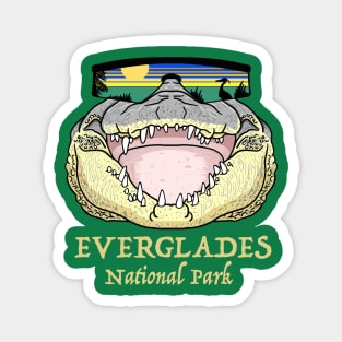 Cool Everglades Crocodile Magnet