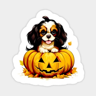 Cavalier King Charles Spaniel Dog inside Pumpkin#1 Magnet