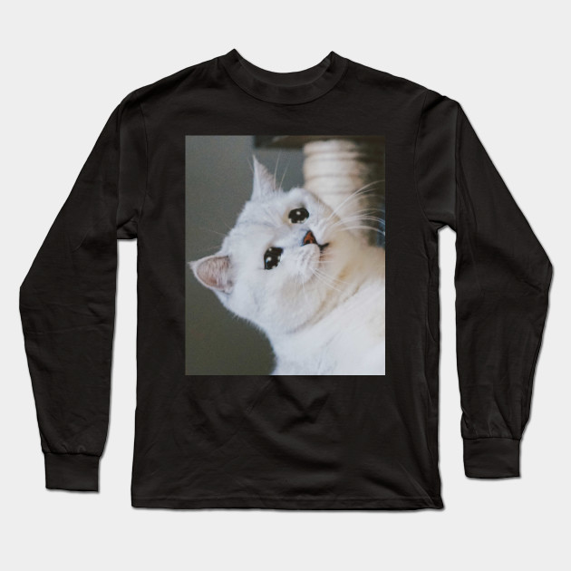 Sad Cat Crying Cat Cute Meme Sad Cat Crying Cat Cute Meme Long