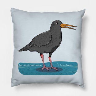 Variable oystercatcher Tōrea pango Pillow