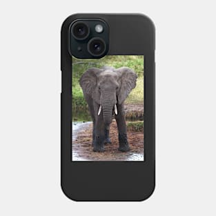 Young African Elephant, Serengeti National Park, Tanzania. Phone Case