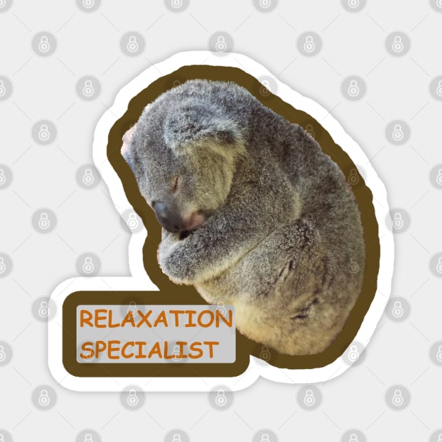 Koala Relaxation Specialist Magnet by HutzcraftDesigns