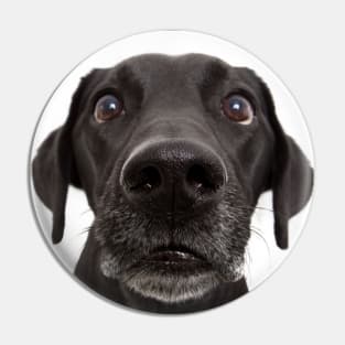 Funny Cute Dog Face Gift Pin