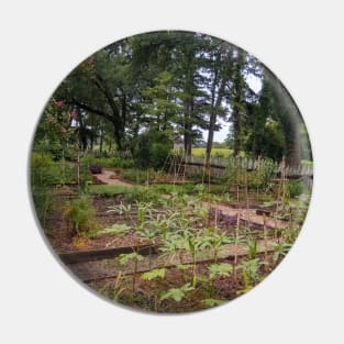 Peaceful Garden Plantation Setting with Plants and Vegetables Pin