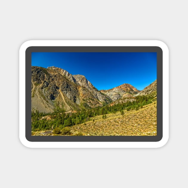 Tioga Pass, Yosemite National Park Magnet by Gestalt Imagery