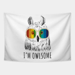 Im Owlsome Cute Love Owl Design Tapestry