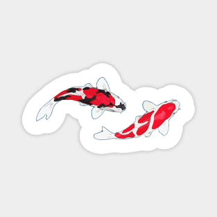 Koi Fish | Kuhaku Showa Sanke Magnet