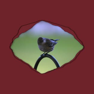 Warbler Perched Popping from Torn Material T-Shirt