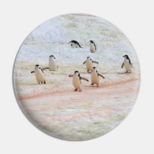 PENGUINS ON A MISSION Pin