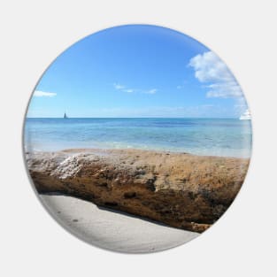 Driftwood on Isla Saona Beach Pin