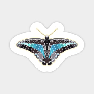 colorful natural butterfly Magnet