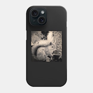 Squirrel in the Garden Phone Case