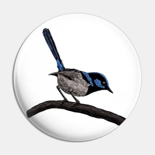 Fairy wren drawing Pin