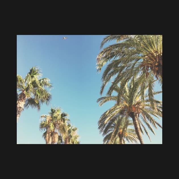 Palms and Bird by Cassia