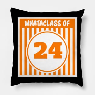 Whataclass of 24 Pillow