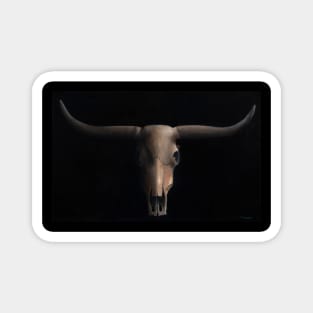 Cattle skull Magnet