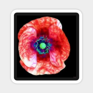 Poppy Flower Close Up Magnet