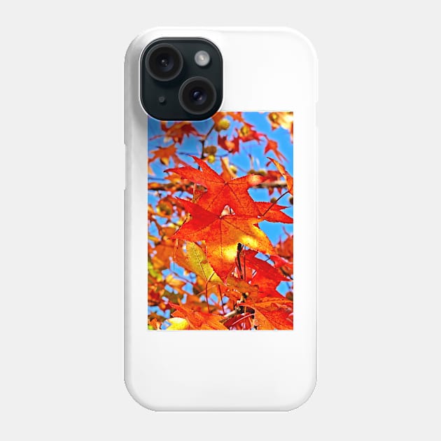 delight Phone Case by terezadelpilar