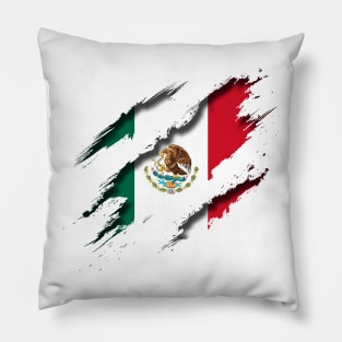 Mexico Shredding Pillow