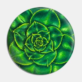 Echeveria Green Prince Pin