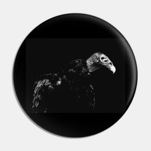 Turkey Vulture Pin