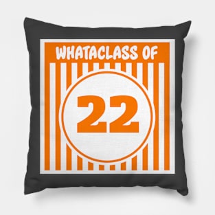 Whataclass of 22 Pillow