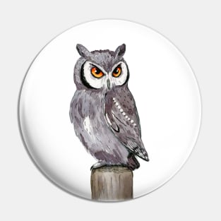 A watercolor drawing of a white-faced owl Pin