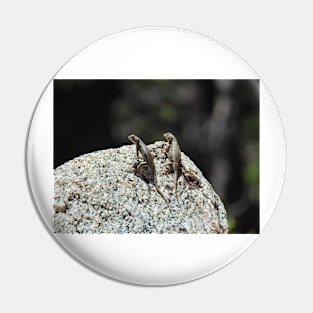 Wildlife gifts, reptiles, western fence lizard Pin