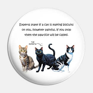 Experts state if a cat is making biscuits on you - funny watercolour cat design Pin