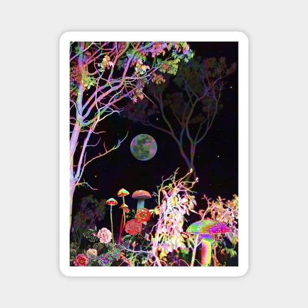 Colorful Night Magnet by Cajuca