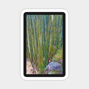 Bamboo Magnet