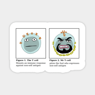 Mr T cell Magnet