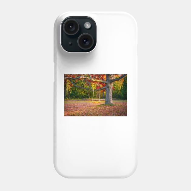 Tree Swing In Autumn 2 Phone Case by Robert Alsop