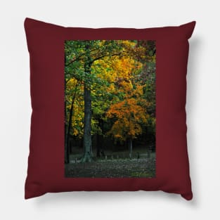 Murphysboro Lake (9) Pillow