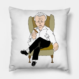 TV SITCOM ICON Pillow